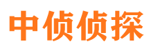 汉阳侦探公司